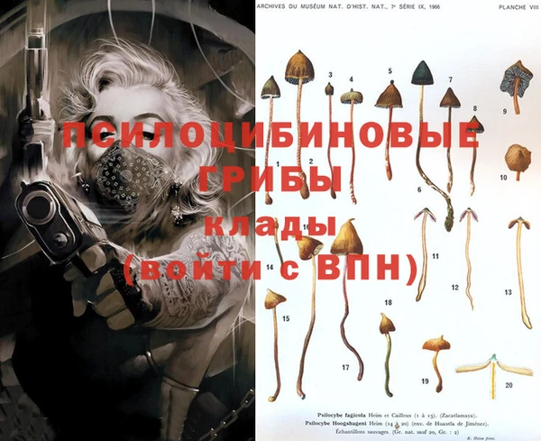 экстази Магас