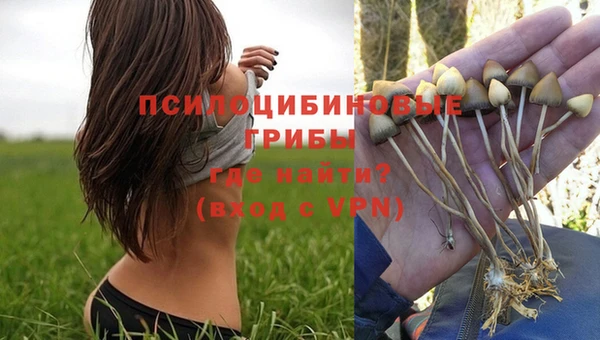 трава Майский