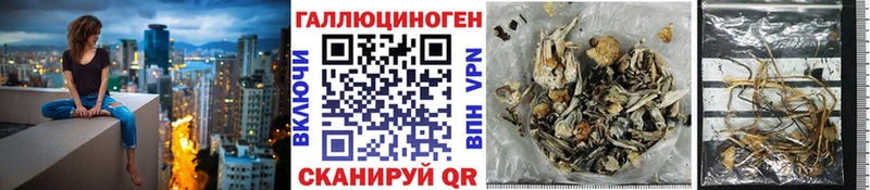 дарнет шоп  Сычёвка  Псилоцибиновые грибы GOLDEN TEACHER 